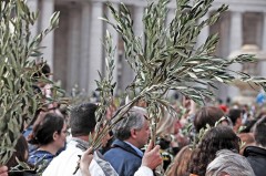 Benedizione delle Palme